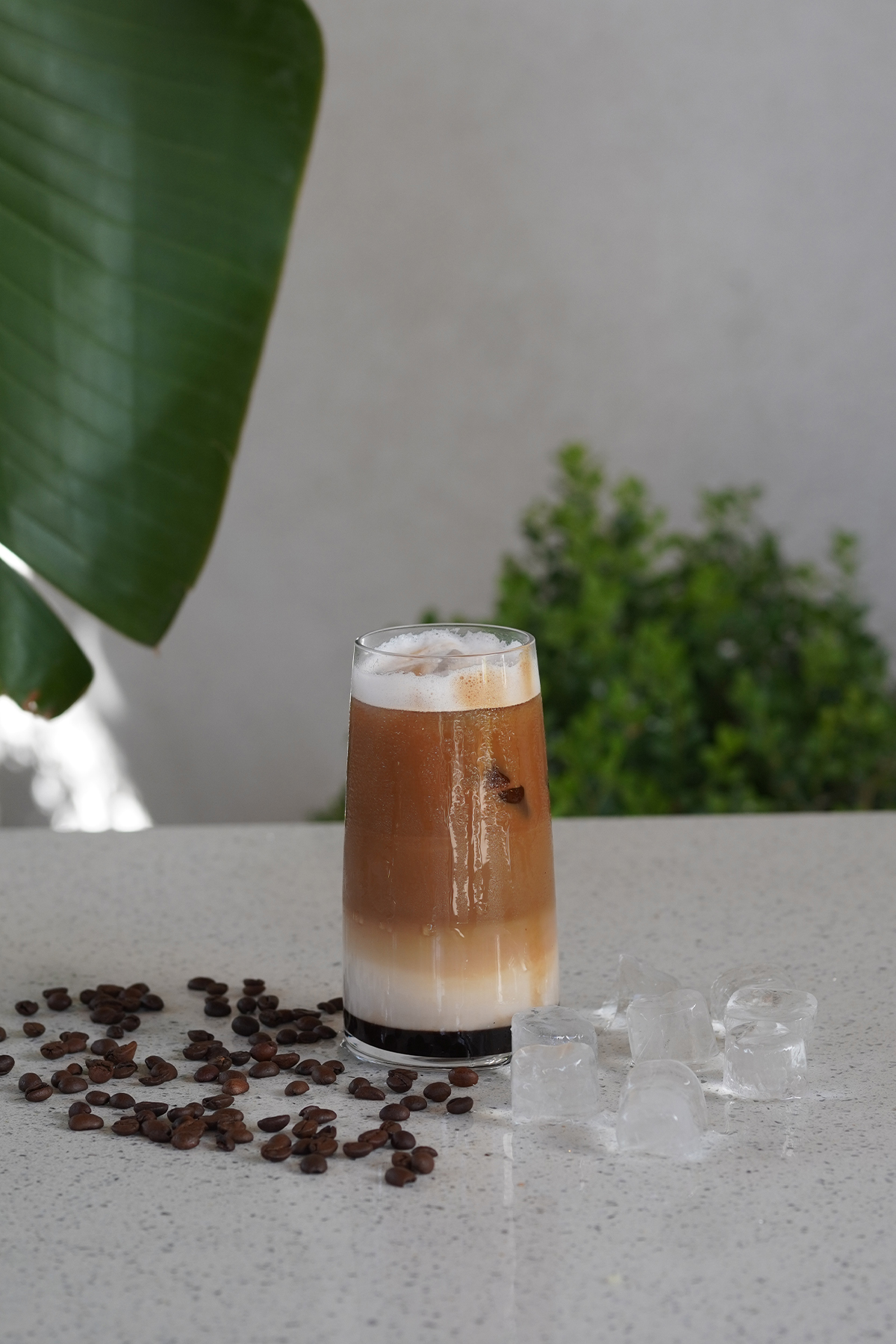 Ice Mocha