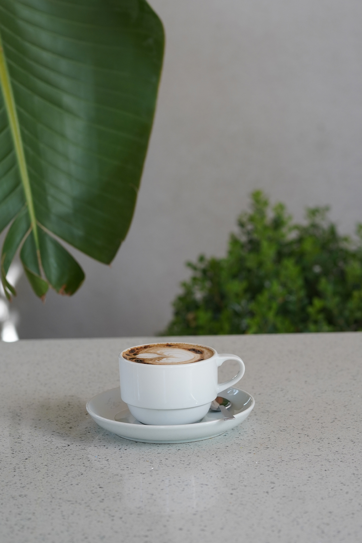 Doğal Sütlü Nescafe
