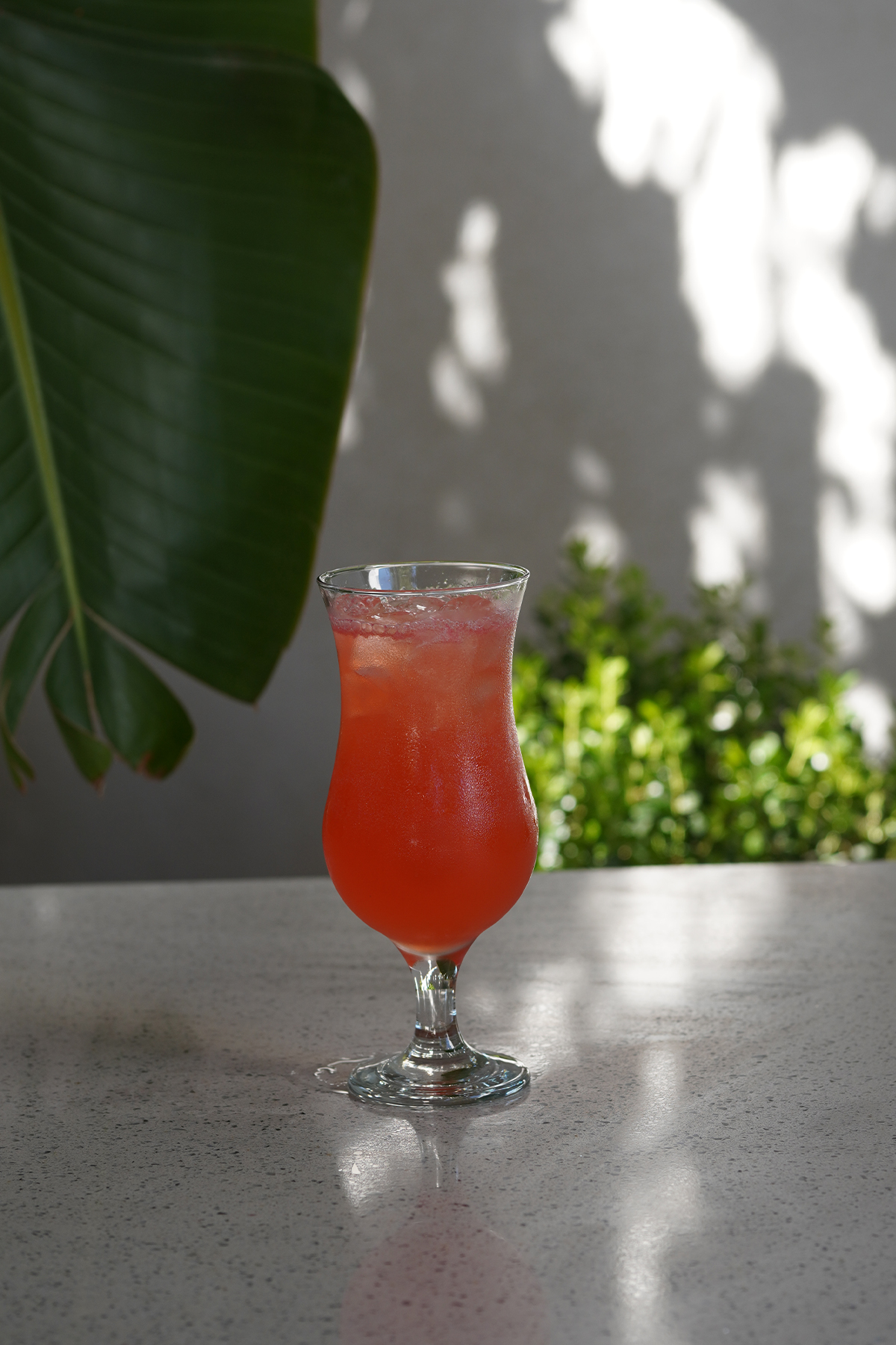 Tropical Kokteyl