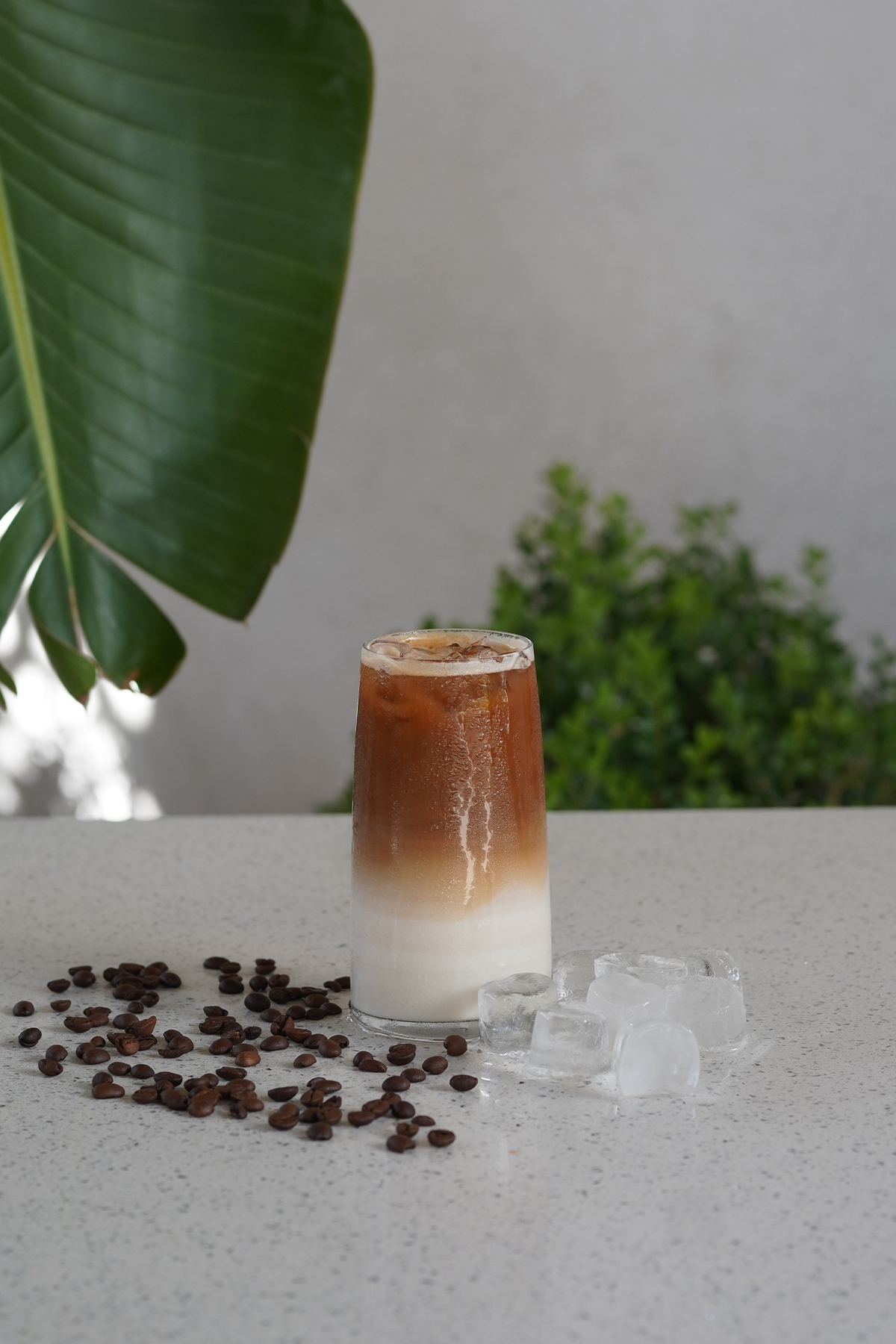 Ice Latte